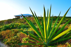 Seawings Villa – Panoramic Views & Spacious Island Comfort at Dragon Cay Resort