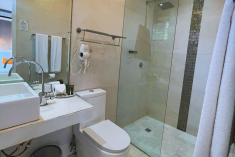 Golden Frog Suite at Albrook Inn