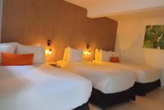 Toucan Lodge at Albrook Inn