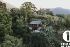 Discover Pura Vida Ecolodge at Pura Vida Ecolodge