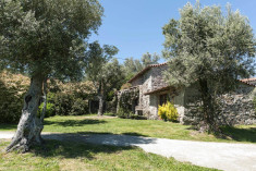 Casa dos Palheiros up to 4 guests (Ideal for families or couples with children) at Quinta do Rapozinho
