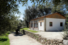 Casa dos Toneis (Ideal for families & groups for up to 7 guests) at Quinta do Rapozinho