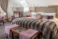 Deluxe Double Rooms (3 Available) at Vredenburg Manor House