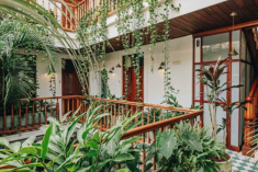 Casa Entera – Exclusive Use at Amarla Boutique Hotel Casco Viejo