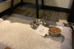 Queen Room in Dawson City – Boutique Heritage Stay for Couples at DAWSON LODGE & YUKON SPA - Romance at the Edge of the World in Dawson City, Yukon