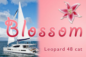 BLOSSOM 48 Feet