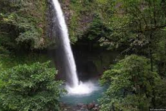 Cloud Forest Waterfall Proposal / Romance Package 