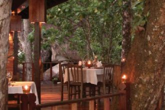 The Jungle at Sunset Proposal Package 