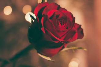 Romantic Getaway Package