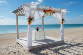 Elopement Weddings