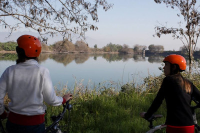 Private bike wine tour in a spectacular vineyard