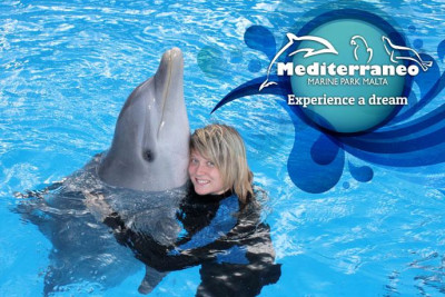 Swimming with Dolphins