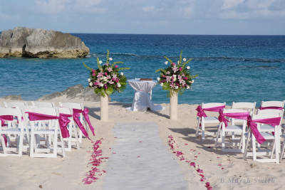 Public Beach Ceremony and Reception