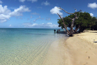 Private full day boat tour