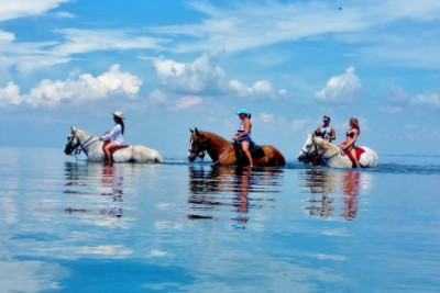 Horse riding on Buccoo Beach