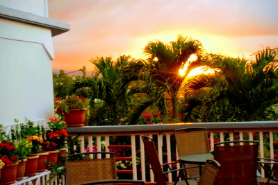 Weddings & Events