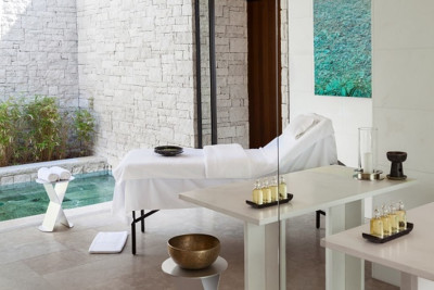 Detox & Cleansing Immersion 