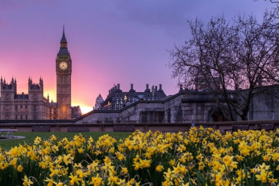 4 Hour Panoramic Driver-Guide Visit of London With Photo Stops