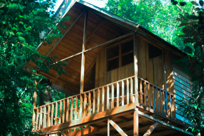 Rainforest Romance Package