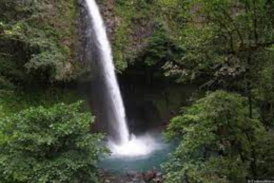 Cloud Forest Waterfall Proposal / Romance Package 