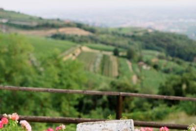 Romantic Vineyard Picnic 