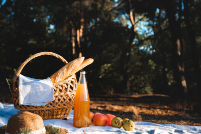 Romantic Picnic by the Sea