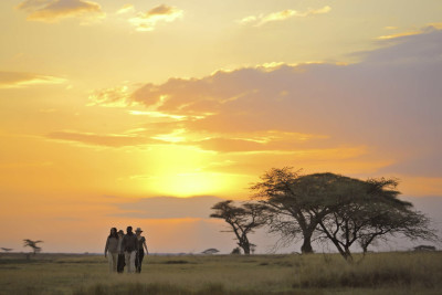 4 DAYS ROMANTIC LUXURY SAFARI 