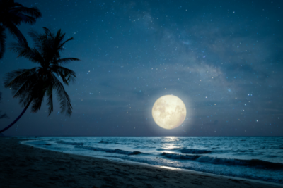 Full Moon Wedding in Costa Rica