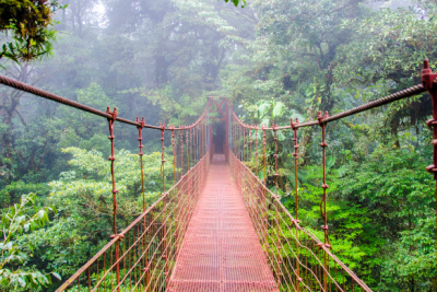  Treetop Dining at Pacuare Lodge, Costa Rica