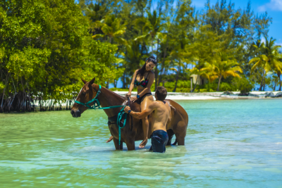 Swim with Horses Half Day Adventure in Punta Cana