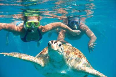 Group bookings in Barbados
