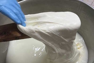 Mozzarella Class and Ravello visit