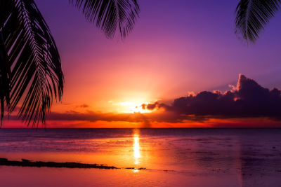 Traditional Tahiti Wedding Ceremony