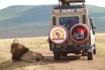 Honeymoon Wildlife and Beachlife