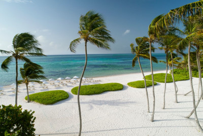 Group Celebrations in Puntacana Resort