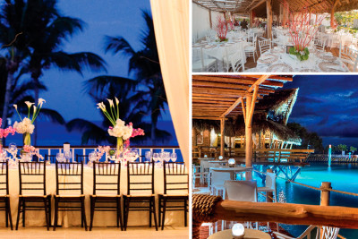 Paradise Wedding Package - 50 guests+