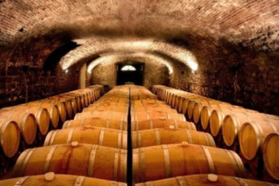 Visit to local wine cellars