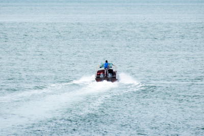 2-Way Domestic Transfer (Kids)