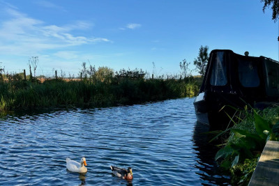 Foraging and historical walks along the beautiful Chesterfield Canal