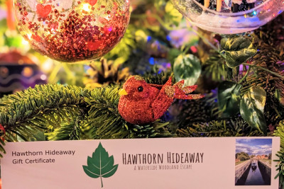 Gift Vouchers