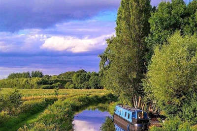 Boat Trips At Hawthorn Hideaway