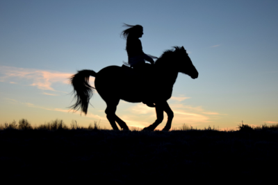 Horse Riding Day