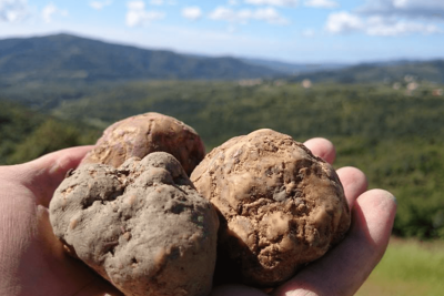 GOURMET TRUFFLE RETREAT