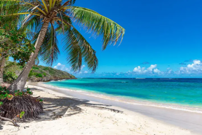 Escape To Puerto Rico