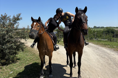 Horse Sunset Ride for Two