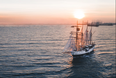 Royal Albatross Celebration Love Package ( 2 PAX)