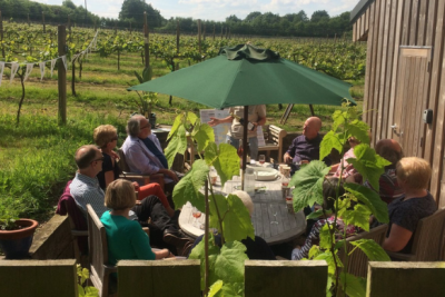 Celebrate Among the Vines – Group Gatherings & Special Occasions