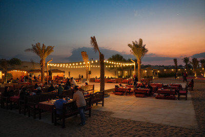 Evening Desert Safari with BBQ Dinner