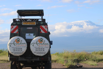 Adventurous & Romantic Kenya Safari (7 Days / 6 Nights)