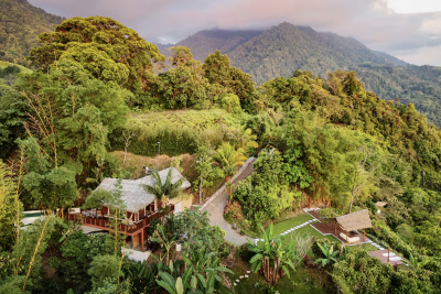 Rewilding Honeymoon Experience at Pura Vida Ecolodge